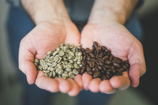 Coffee tasting and bean swap (April 12th)