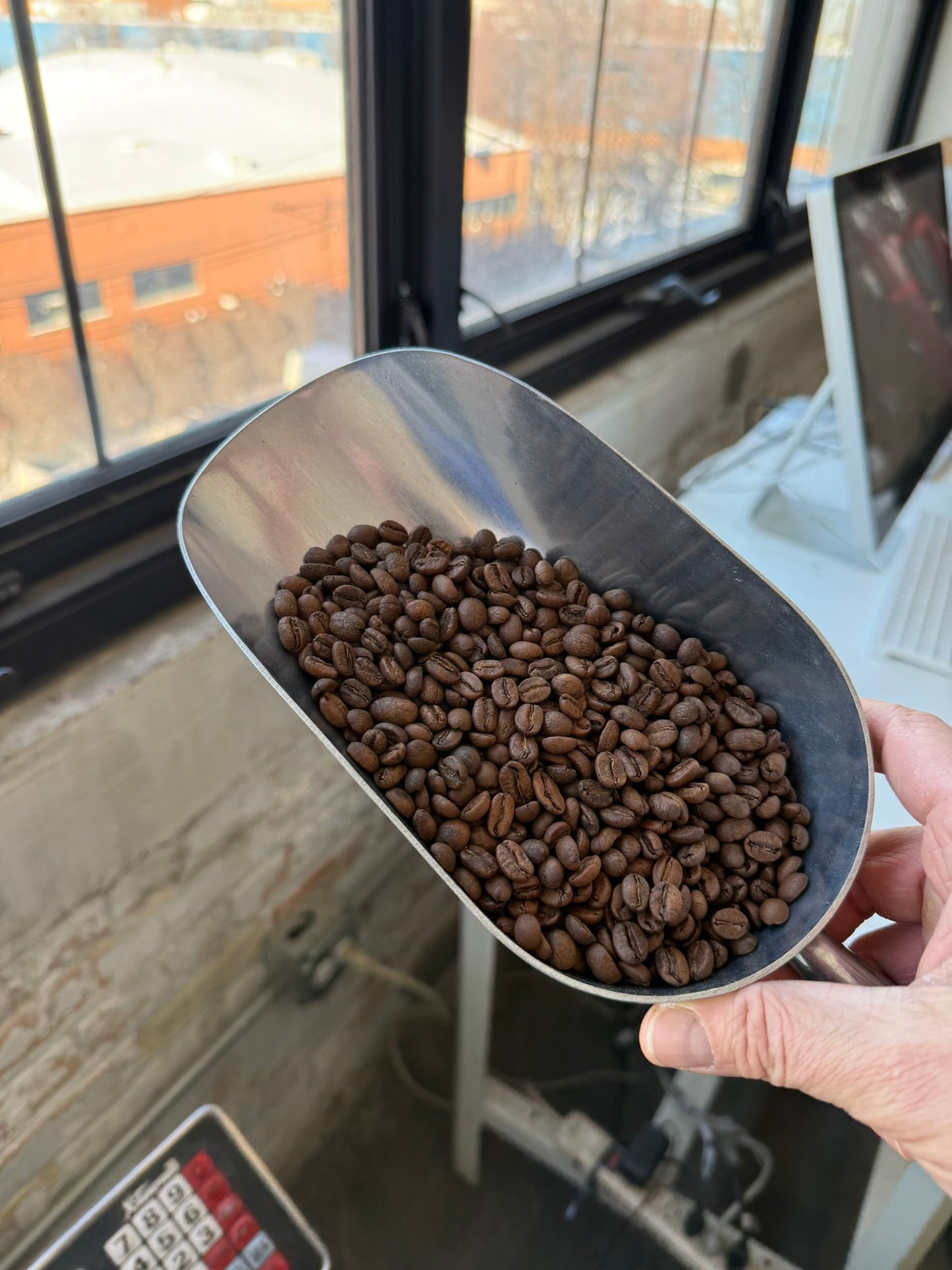 EXP013: BANANA BREAD