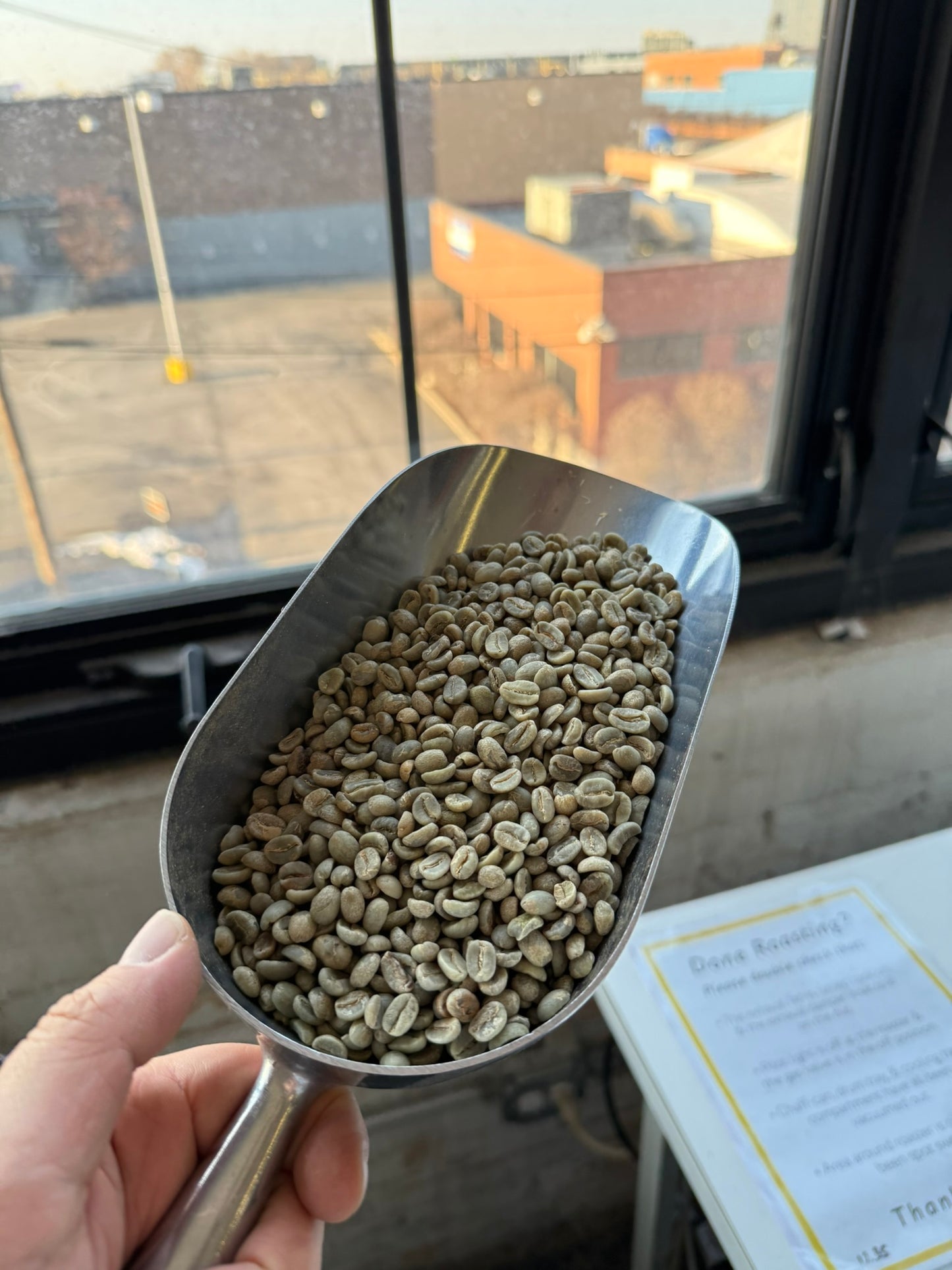 THE DECAF