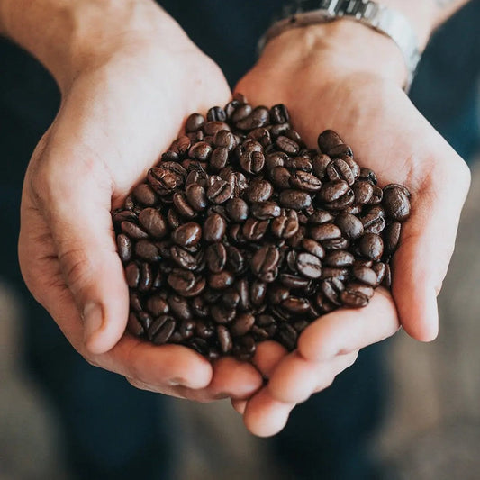 Coffee tasting (October 25th)