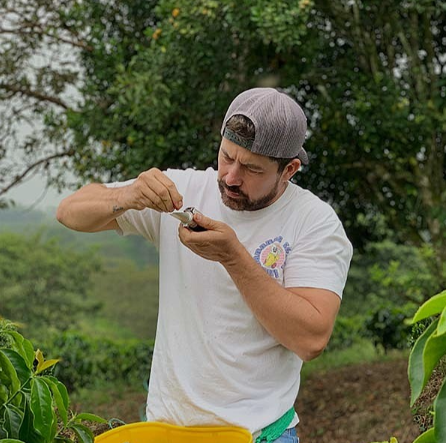 Man in a white t-shirt and cap examining coffee with greenery in the background