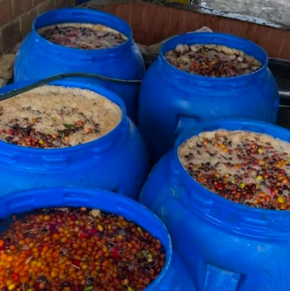 EXP018: PINK LEMONADE