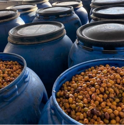 Blue barrels filled with a mixture of coffee on a wooden surface.