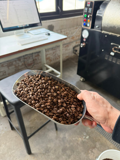 EXP014: LYCHEE / PAPAYA