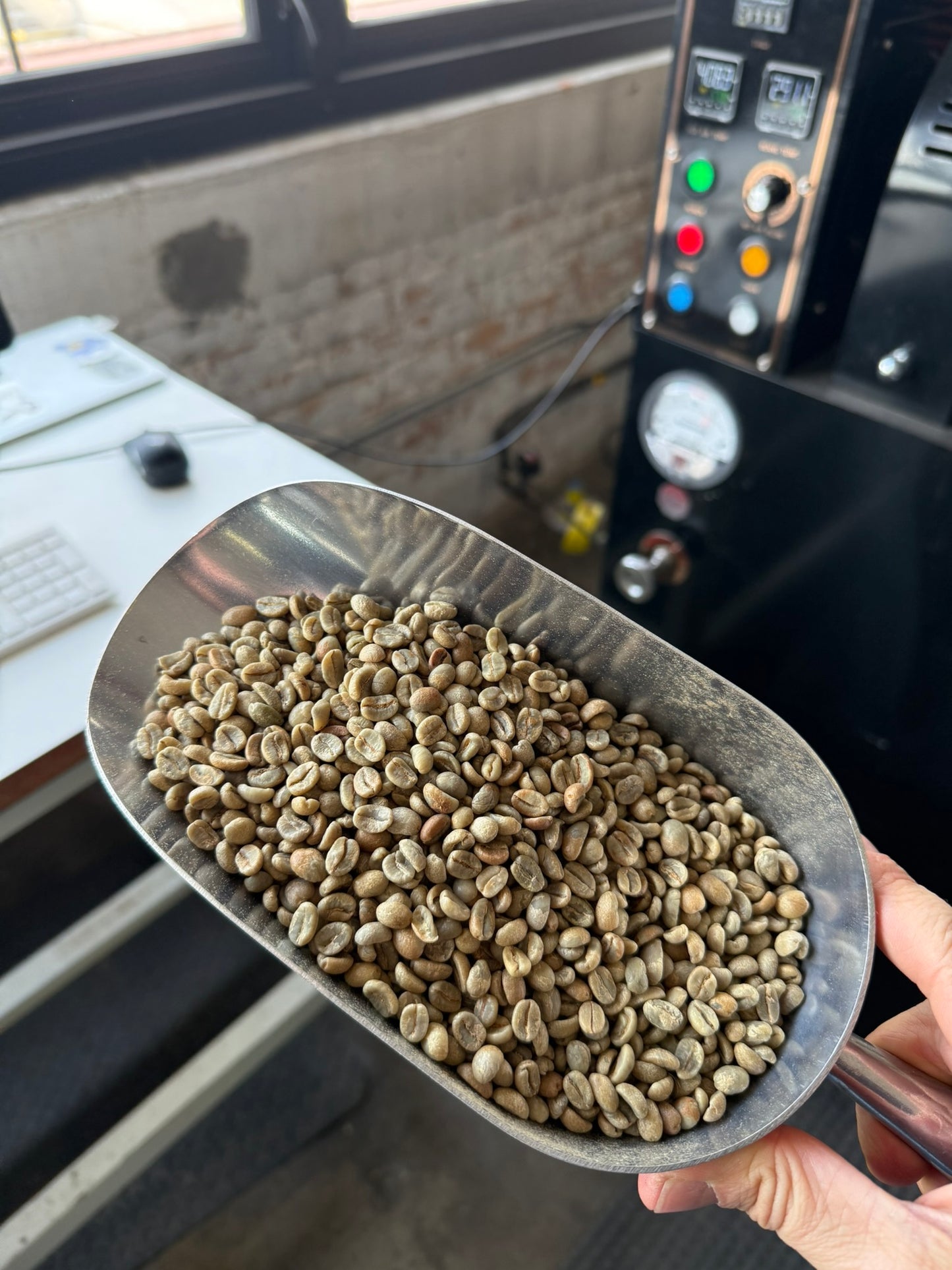 EXP014: LYCHEE / PAPAYA