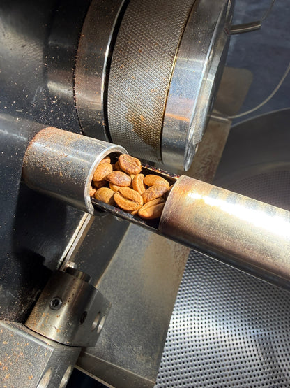 EXP018: PINK LEMONADE