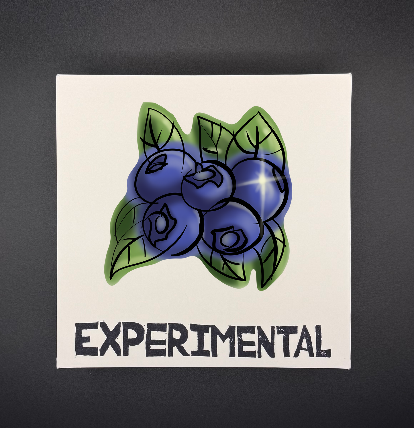 EXP029: BLUEBERRY PIE