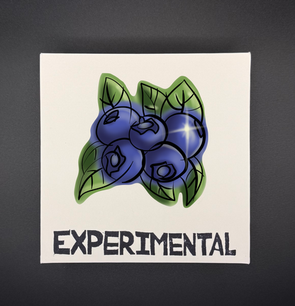 EXP029: BLUEBERRY PIE