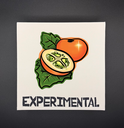 EXP028: LULO